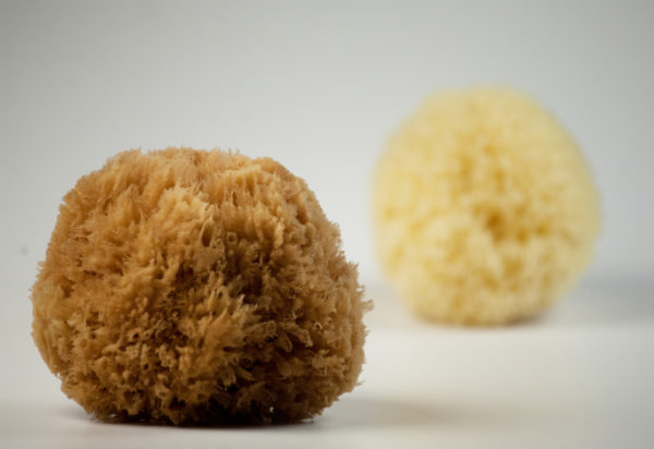 Natural Sea Sponge Grass - AG Natural Sea Sponges